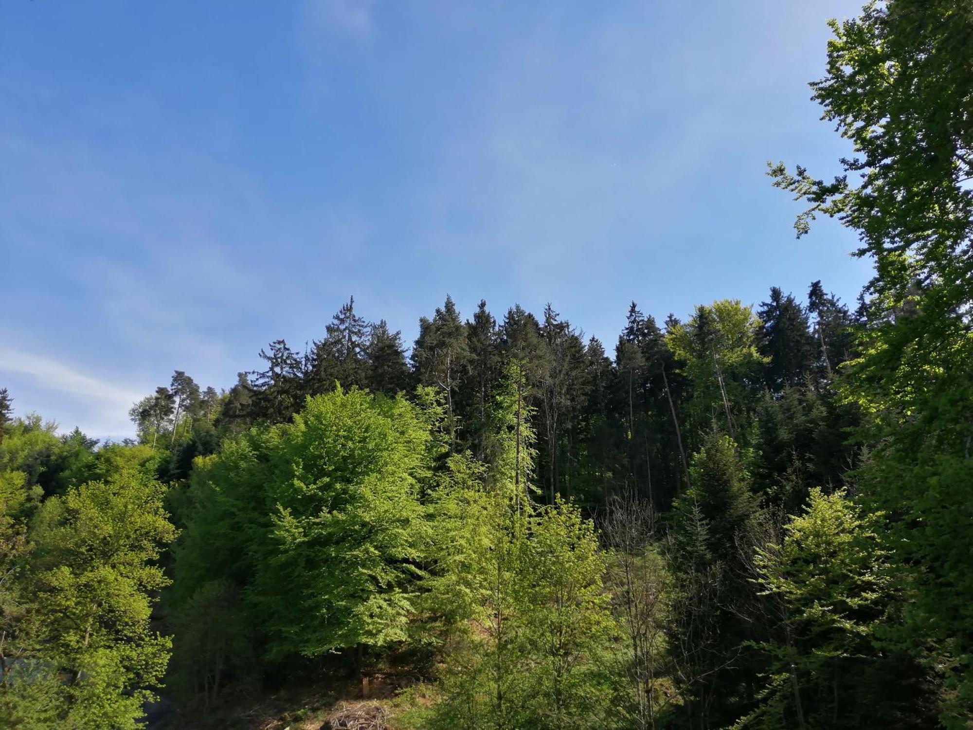 Tiny House Im Gruenen * St. Margrethen